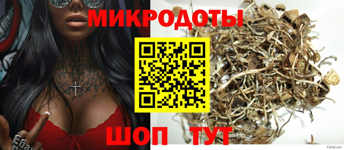 Чехов  Галлюциногенные грибы GOLDEN TEACHER  Вход с VPN 