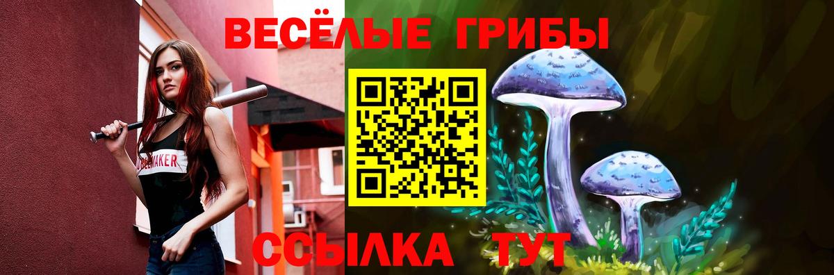 Псилоцибиновые грибы прущие грибы Чехов